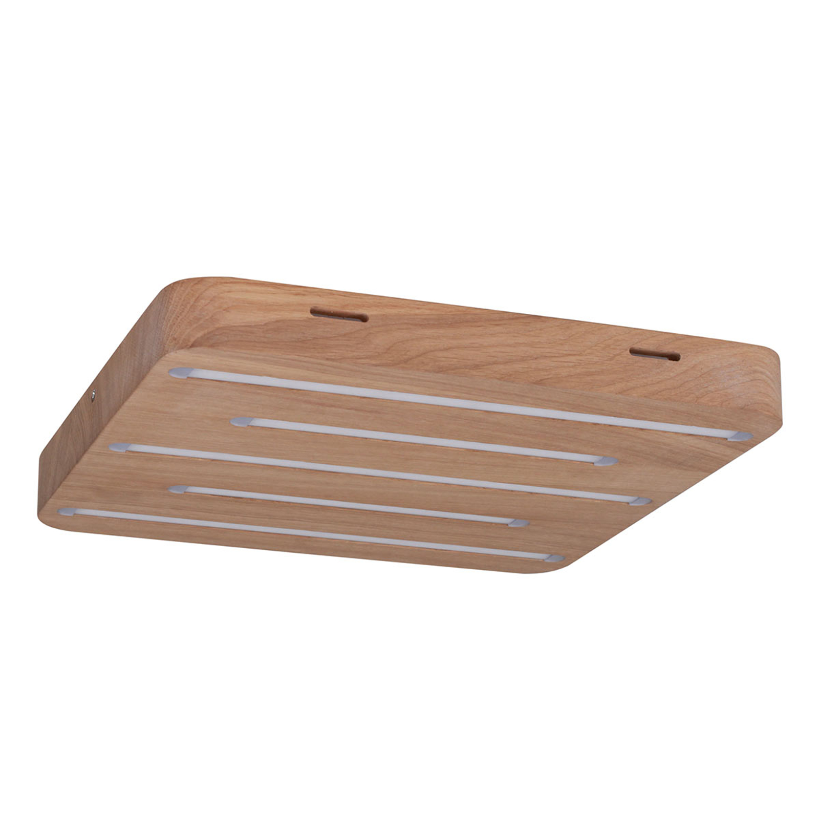 EULUNA 2130374 Stropní svítidla