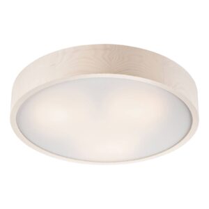 EULUNA Stropní svítidla