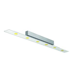 Evotec 14005 Stropní svítidla