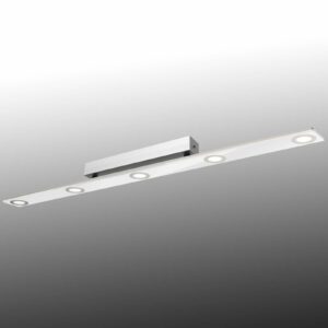 Evotec 15550 Stropní svítidla