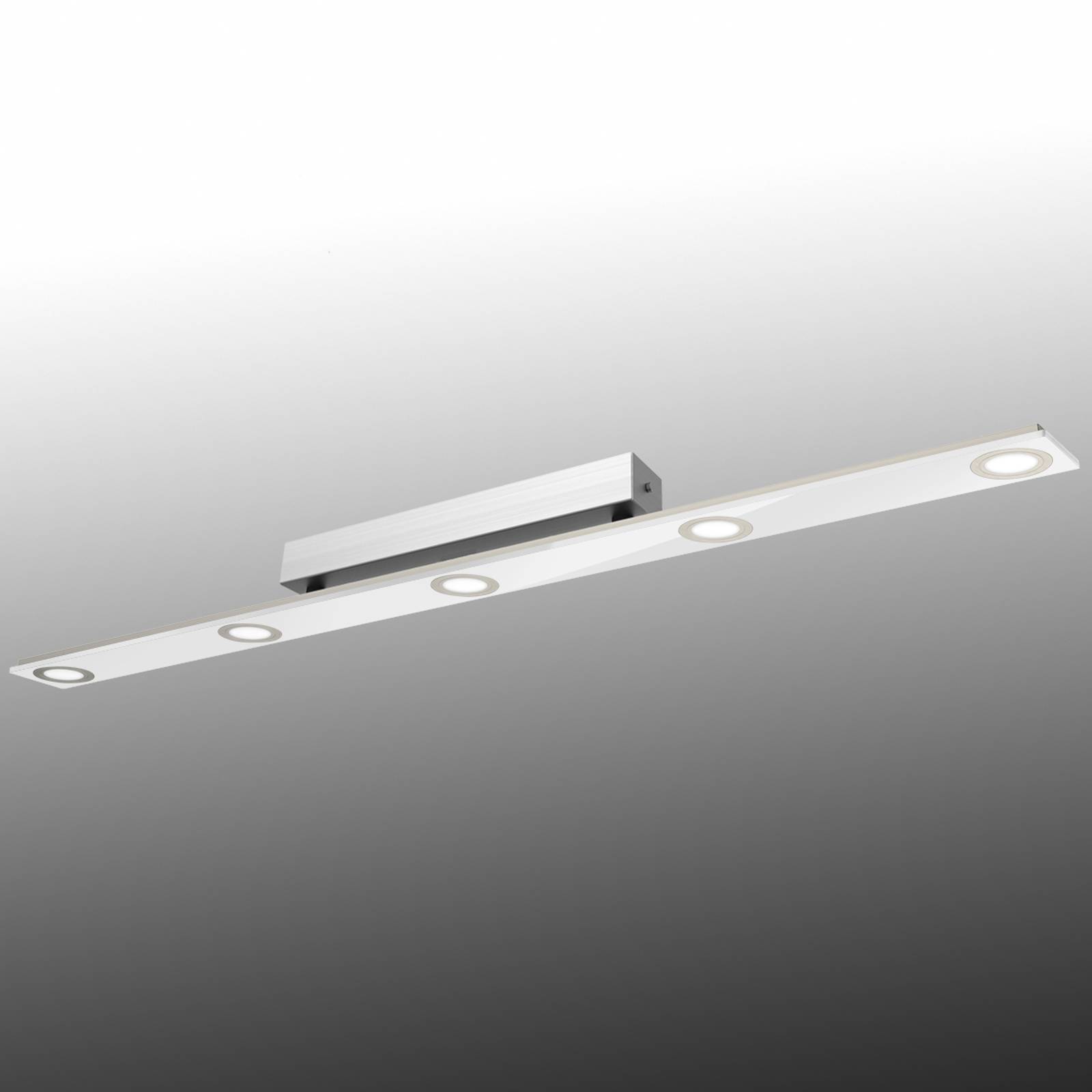 Evotec 15550 Stropní svítidla