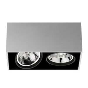 FLOS ARCHITECTURAL 03.1061.29 Stropní svítidla