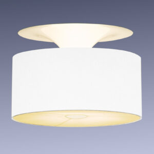 Pamalux 56401-02FB27 Stropní svítidla