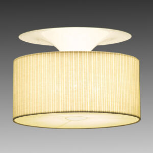 Pamalux 56401-02FB3 Stropní svítidla