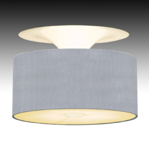 Pamalux 56401-02FB66 Stropní svítidla