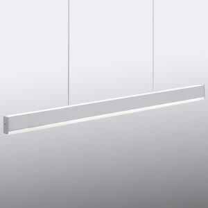 Paul Neuhaus 8364-55 Závěsná světla