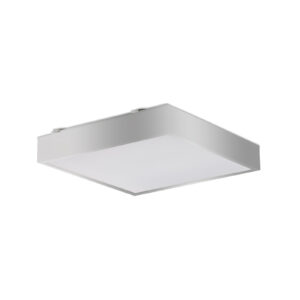 Ridi 0633535SI Stropní svítidla