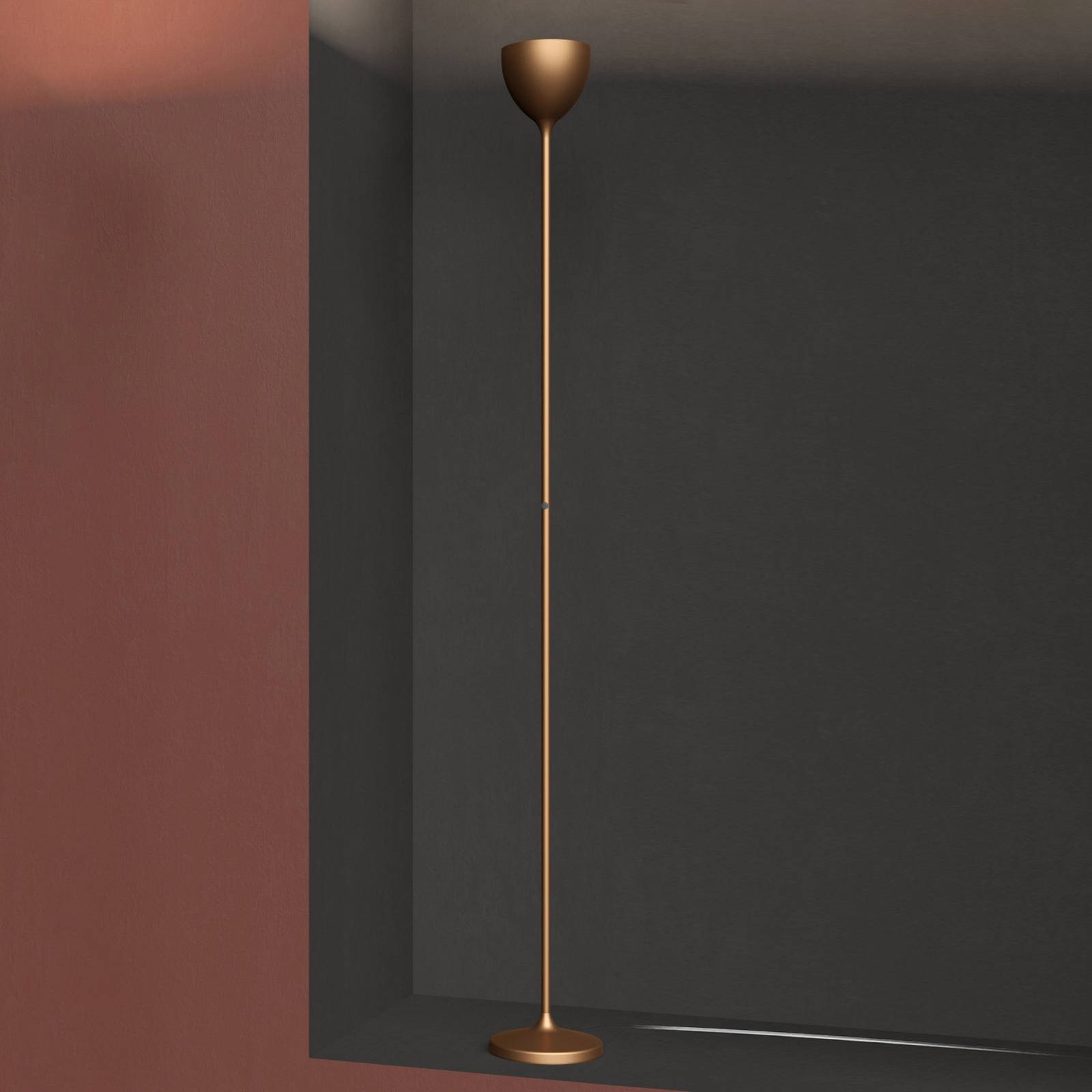 Rotaliana Osvětlení směrem nahoru