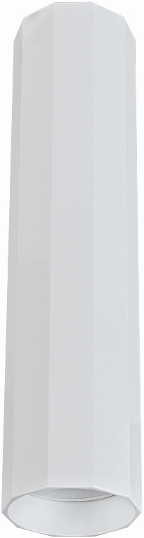 Stropní bodové svítidlo Nowodvorski POLY M 8877 bílá