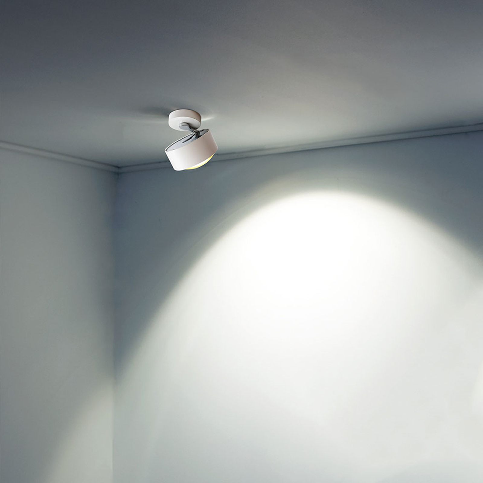 Top Light Stropní svítidla
