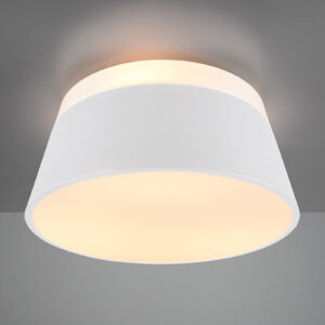 Trio Lighting 608900331 Stropní svítidla