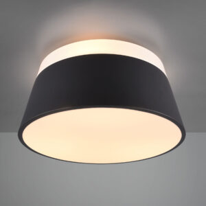 Trio Lighting 608900342 Stropní svítidla