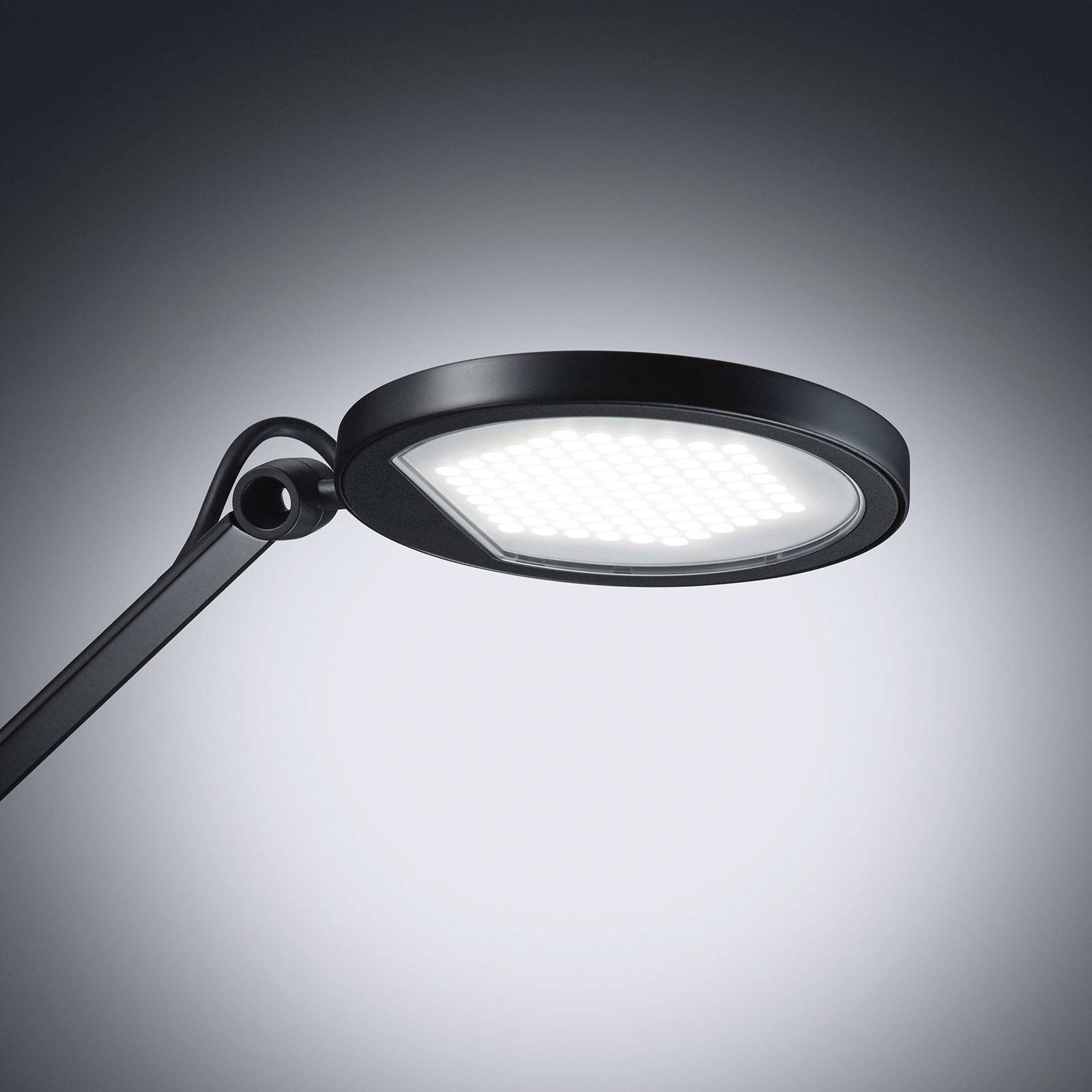 WALDMANN 190210019-00809000 Pracovní lampy stolní